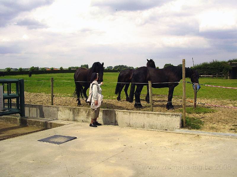 0019.JPG - In de strohoeve “paardenstoeterij” van de hr Willy Naessens in het hartje van Elsegem, een deelgemeente van Wortegem_Petegem.