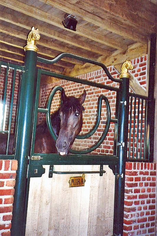 0024.jpg - In de strohoeve “paardenstoeterij” van de hr Willy Naessens in het hartje van Elsegem, een deelgemeente van Wortegem_Petegem.