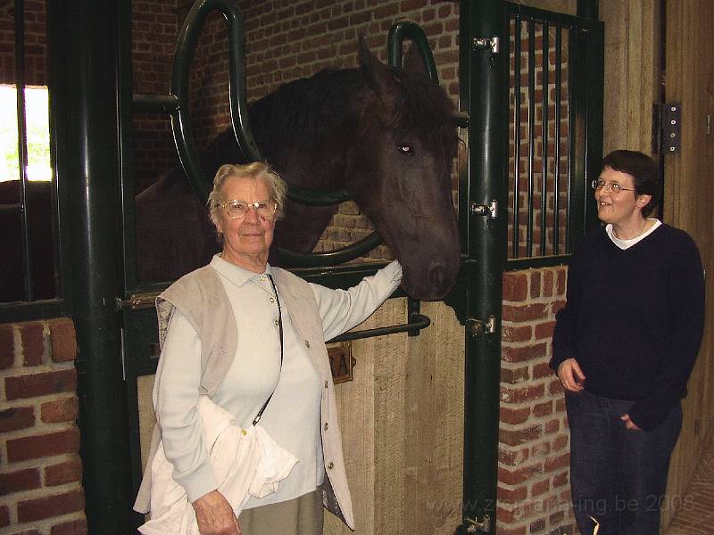 0026.JPG - In de strohoeve “paardenstoeterij” van de hr Willy Naessens in het hartje van Elsegem, een deelgemeente van Wortegem_Petegem.