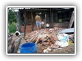 0110 wassen van de varkens