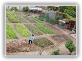 030 groententuin en kippenhok