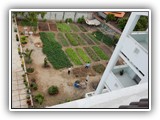 031 groententuin