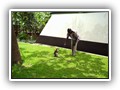 0166Mahagi bisschoppelijke tuin