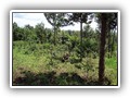 126 Vida natuurschoon