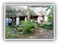 0035 museum Aubechies