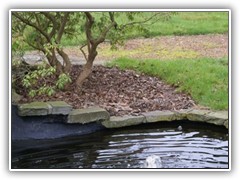 Kloostertuin