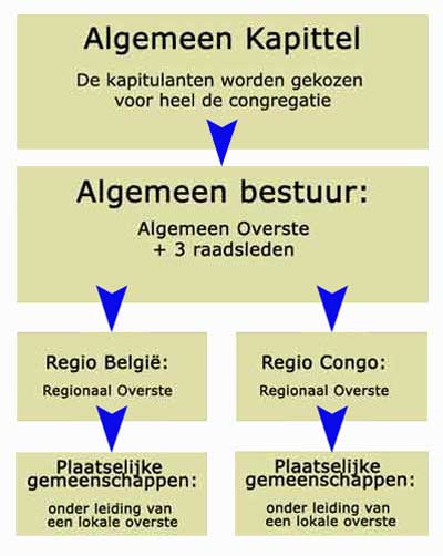 Structuur schema